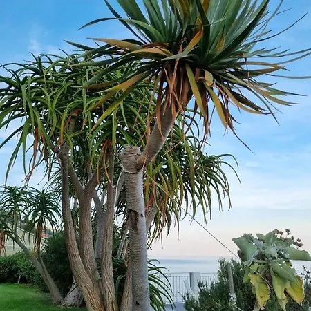 Agroturismo La Tuffatrice *