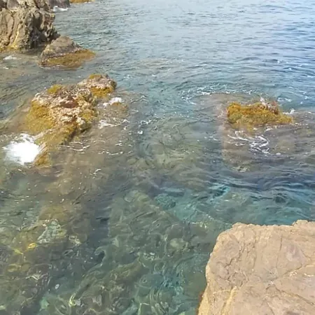 La Tuffatrice Agroturismo *