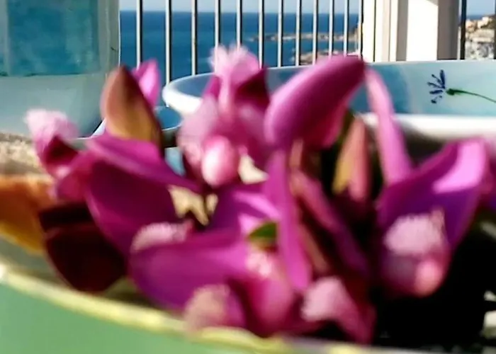 La Tuffatrice * Imperia