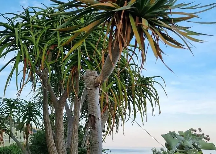 Alloggio per agriturismo La Tuffatrice *