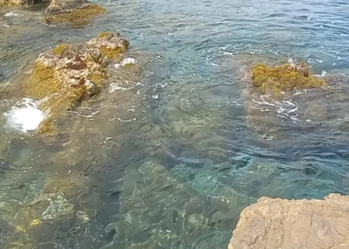 La Tuffatrice Alloggio per agriturismo *