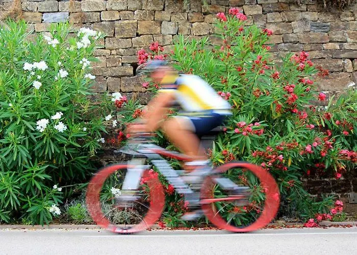 La Tuffatrice Alloggio per agriturismo